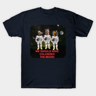 DAcolonizeMOON T-Shirt